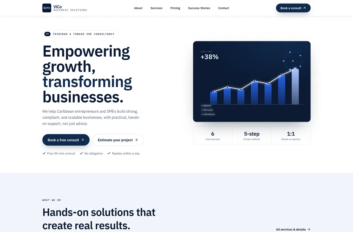 Vico Solutions — live website built by ServersRus